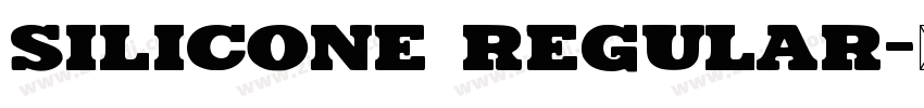 Silicone Regular字体转换